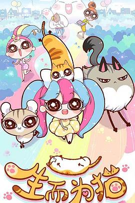 优化网站推广整站教程